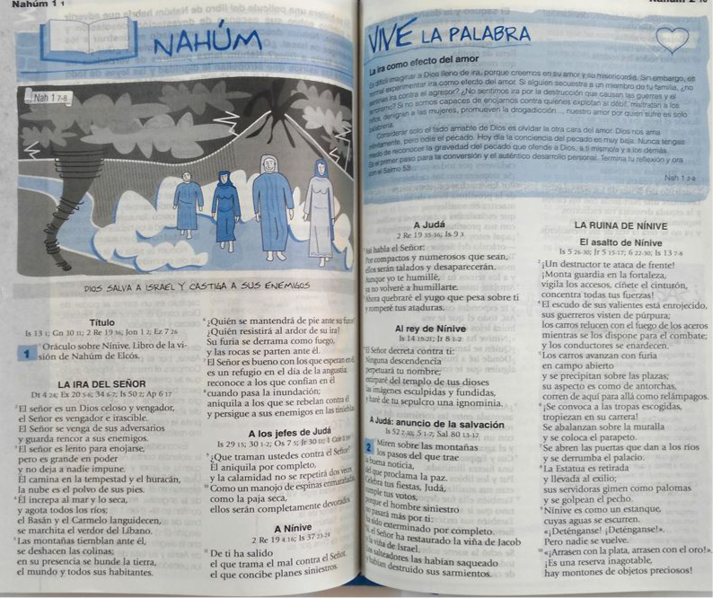 La Biblia Catolica para Jovenes SIN Indices~Pasta Rustica /Tamaño Grande