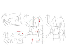 NUEVO!!! Nacimiento Tamaño Real Para Exterior/Patio-17 Piezas / NEW!!  17 PIECE Set Real Life Outdoor Nativity Set for Yard Decoration