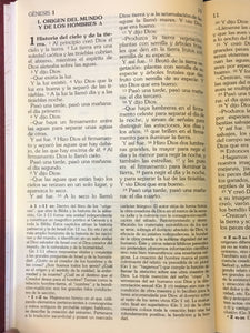 Biblia de America~Roja